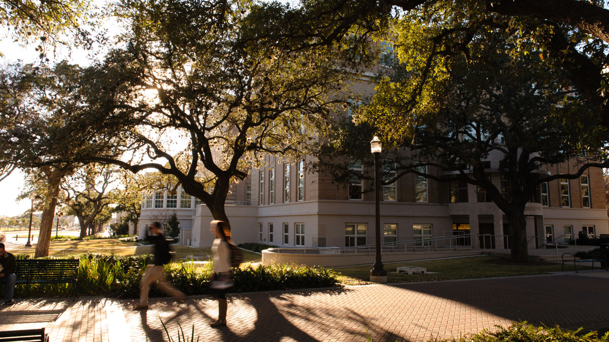 Students walking down Military Walk; the sun is casting long shadows behind the trees