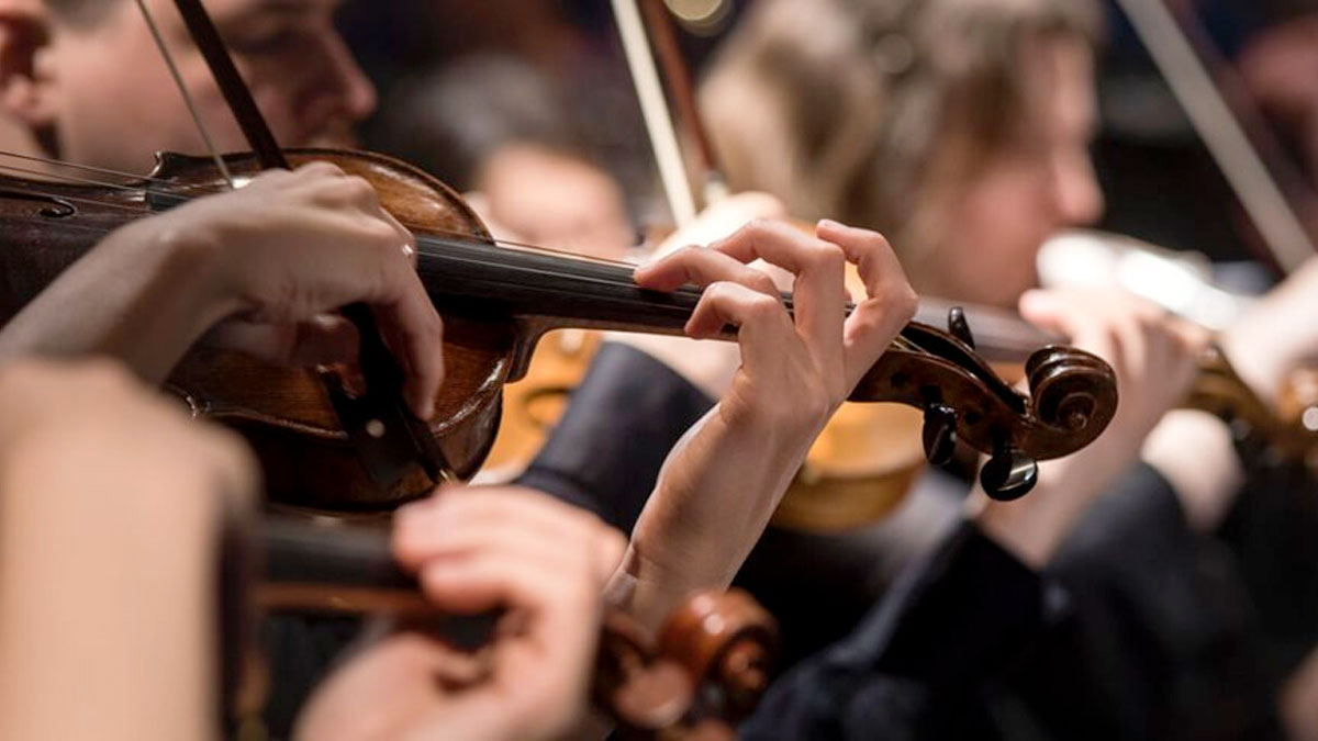 A person plays a violin in an orchestra